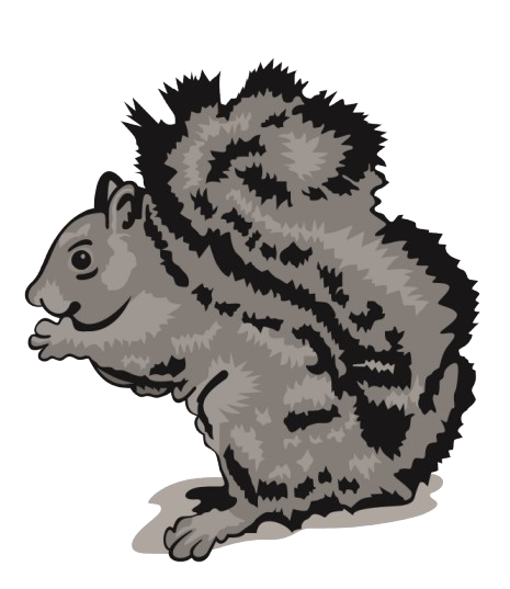 Locking Primary School